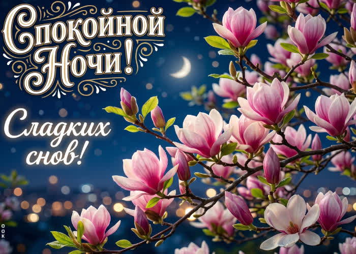 Postcard самому прекрасному человеку желаю спокойной ночи