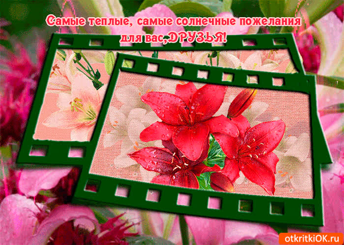 Картинка самые солнечные пожелания для вас друзья