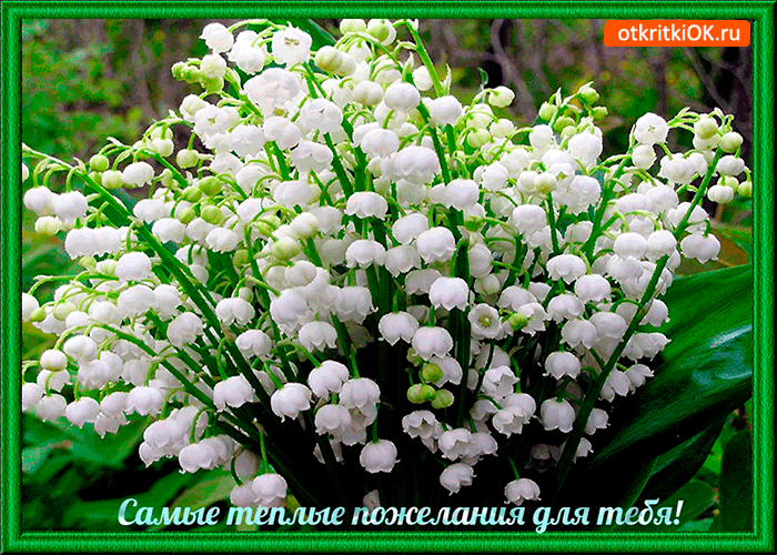 Открытка самые тёплые пожелания для тебя