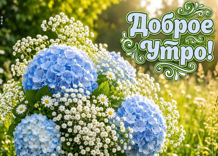 Picture самый прекрасный букетик для тебя