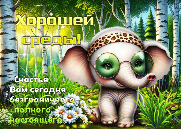 Picture счастья вам сегодня безграничного, полного, настоящего