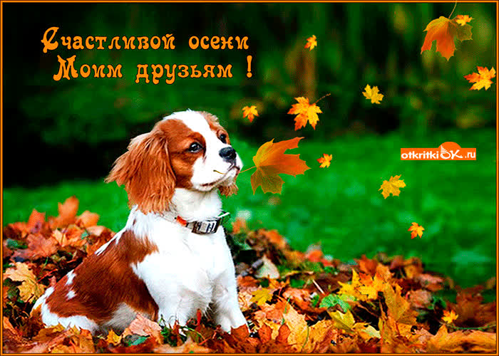 Картинка счастливой осени моим верным друзьям