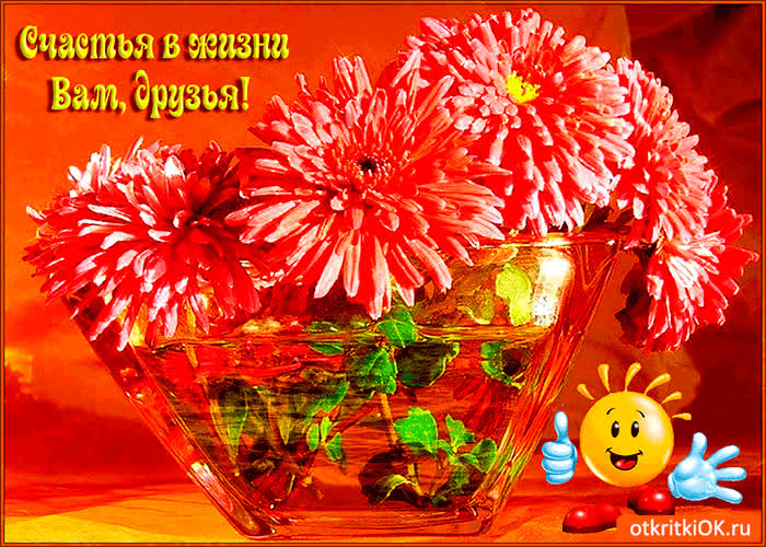 Картинка счастья в жизни вам друзья