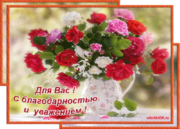 Картинка сегодня день спасибо