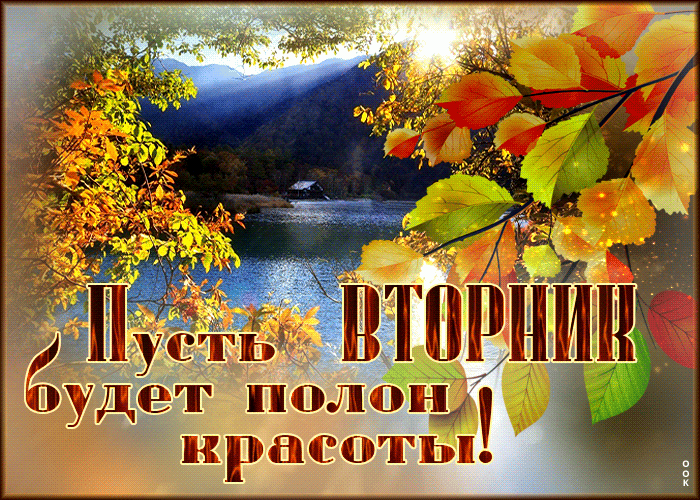 Picture сентиментальная открытка пусть вторник будет полон красоты