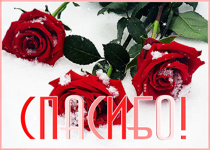 Картинка сердечное спасибо тебе