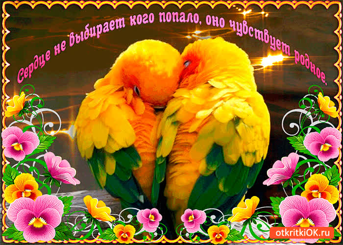 Картинка сердце чувствует родных друзей