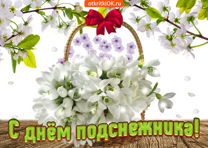 Картинка шлю тебе солнечные поздравления