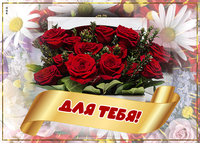 Picture шикарная открытка с букетом красных роз для тебя