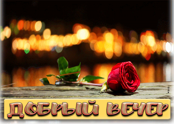 Postcard шикарная открытка с красной розочкой добрый вечер