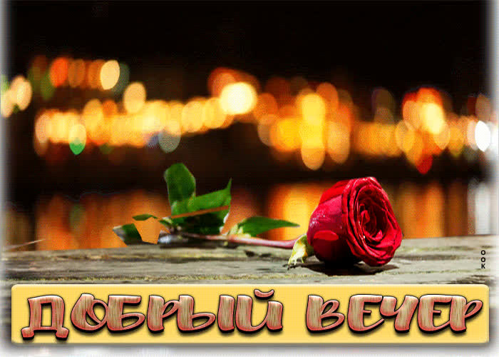 Postcard шикарная открытка с красной розочкой добрый вечер