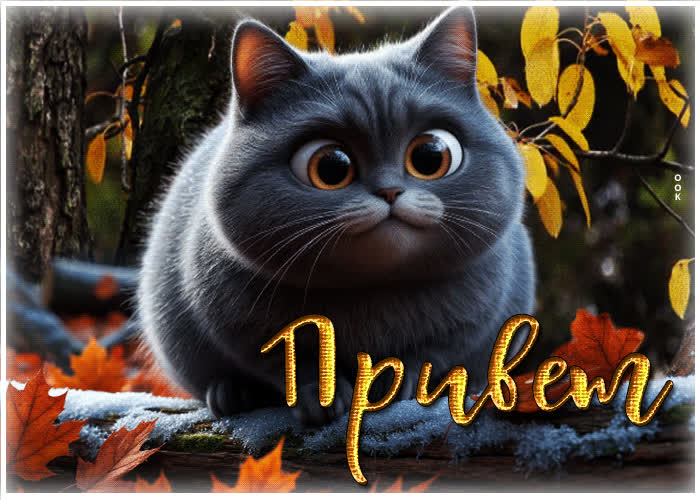Picture симпатичная, красивая осенняя гифка привет