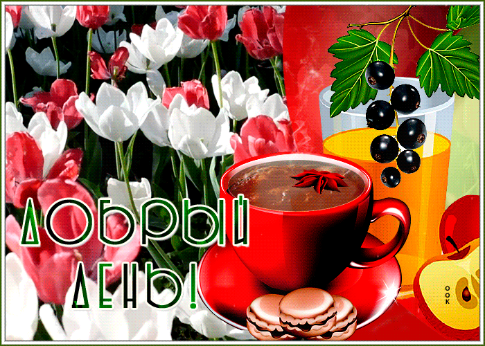 Postcard симпатичная открытка с тюльпанами добрый день!