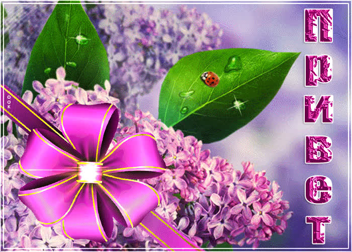 Картинка сиреневый привет