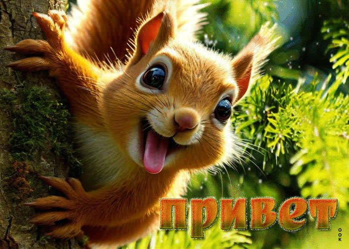 Picture сияющая открытка с белочкой привет