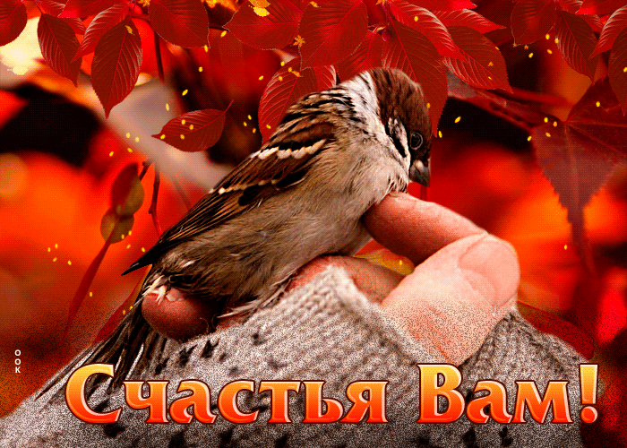 Picture сказочная гиф-открытка с воробушком счастья вам