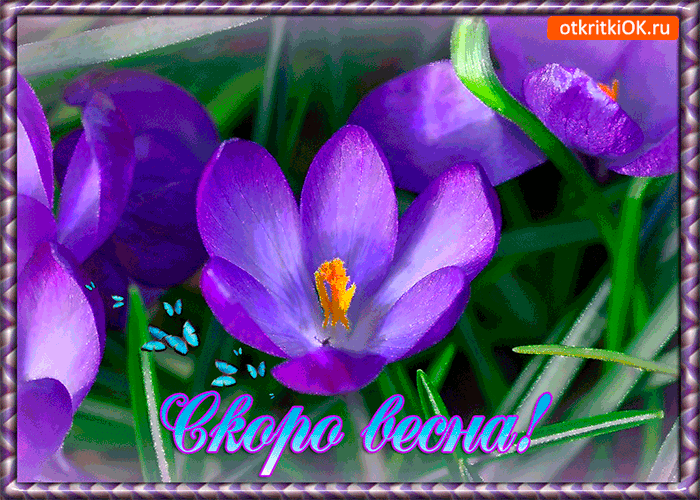 Картинка скоро весна
