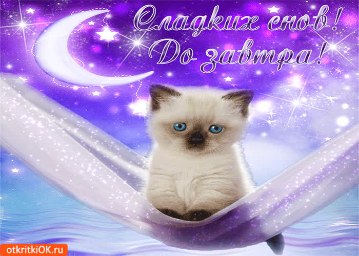 Картинка сладких снов, до завтра