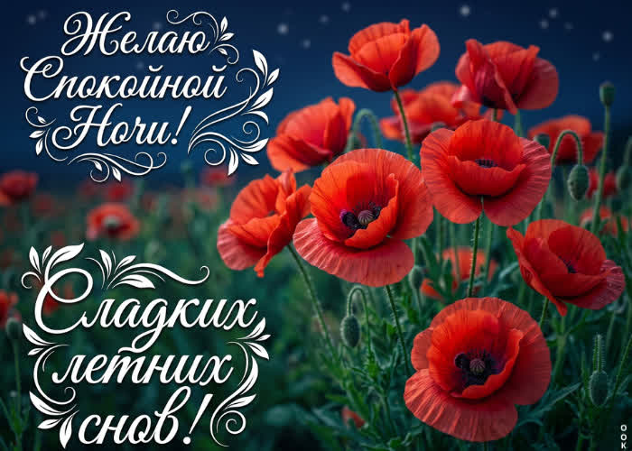 Postcard сладких летних снов