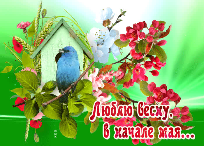 Картинка смешная открытка люблю весну в начале мая
