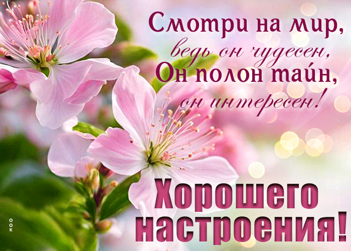 Postcard смотри на мир, ведь он чудесен, он полон тайн, он интересен