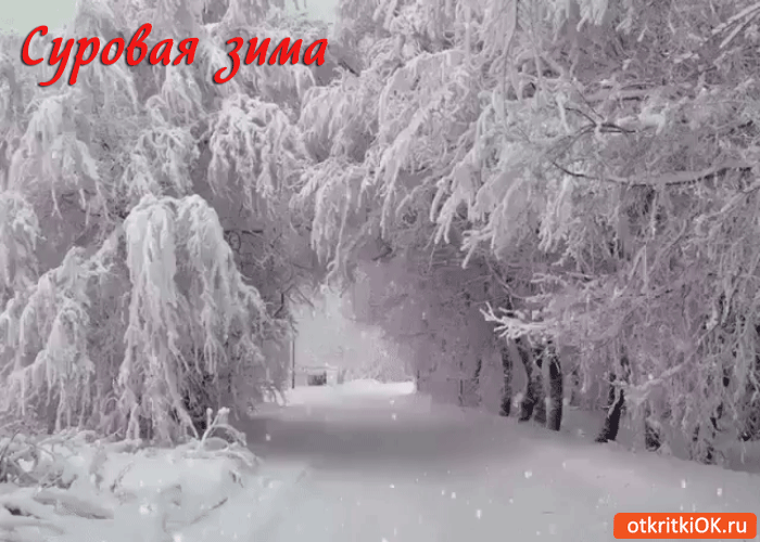 Открытка снежная и суровая зима