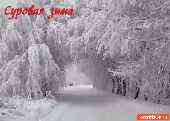 Картинка снежная и суровая зима