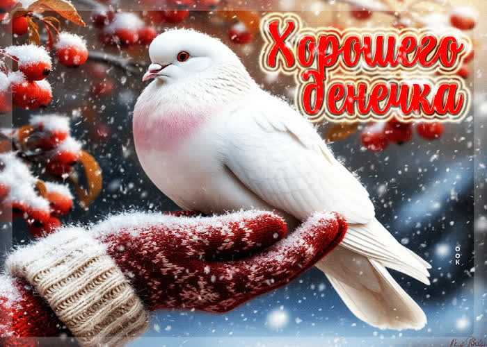 Picture снежная гифка хорошего денечка