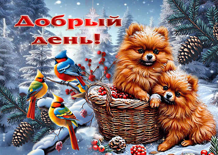 Picture снежная изысканная открытка добрый день