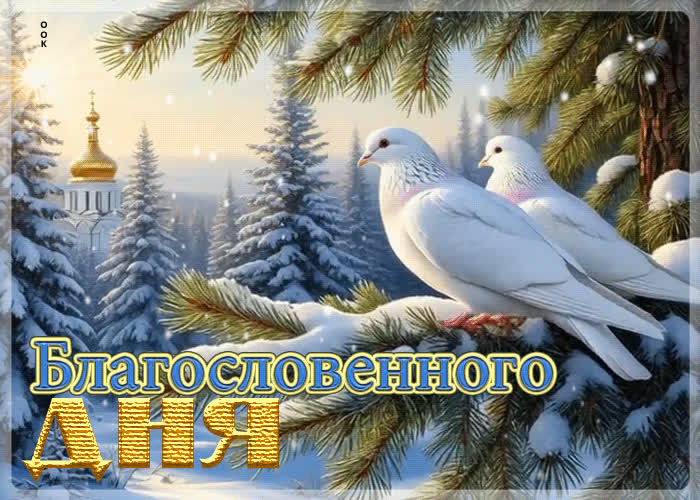 Postcard снежная лучистая гифка благословенного дня