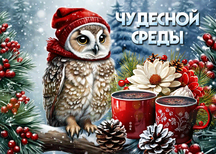 Picture снежная плавная гиф-открытка чудесной среды