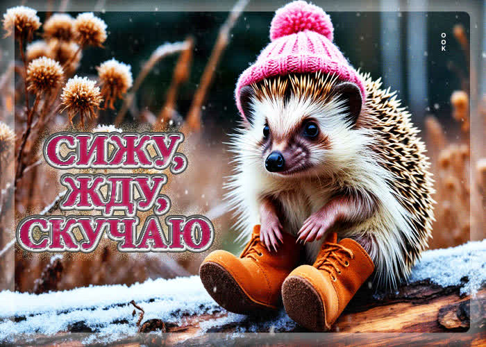 Picture снежная уютная гифка сижу, жду, скучаю