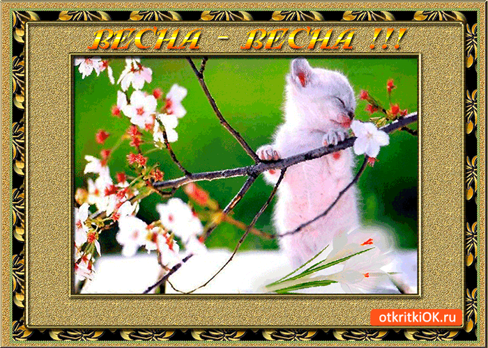 Открытка солнечная весна наступает
