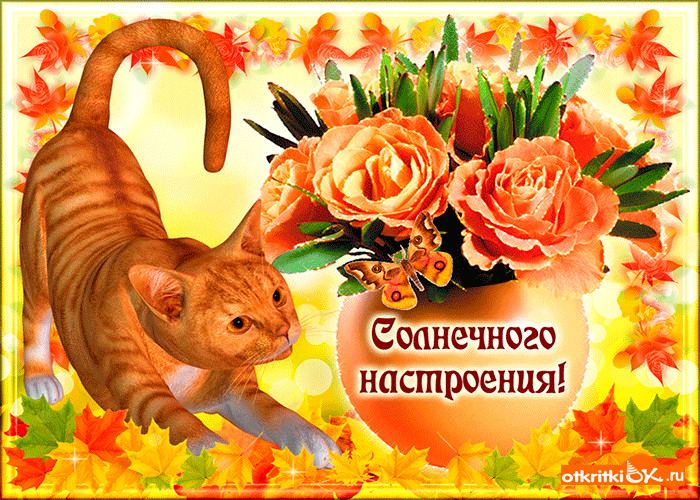Картинка солнечного настроения в этот осенний день