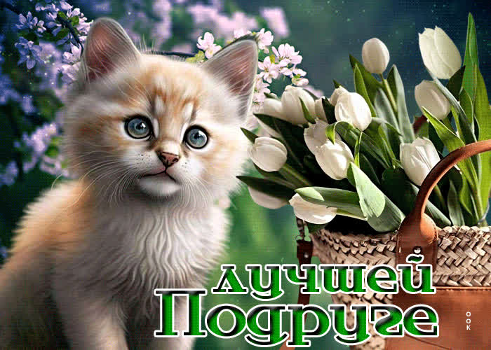 Picture совершенная открытка лучшей подруге! с котенком