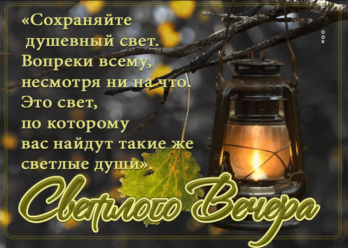 Picture сохраняйте душевный свет. вопреки всему, несмотря ни на что
