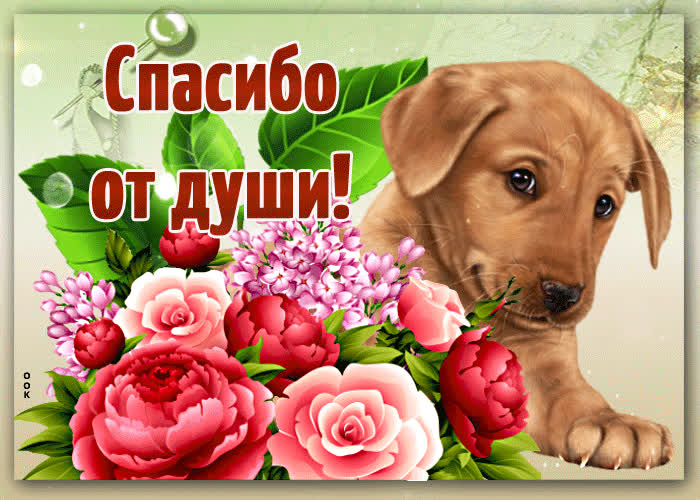 Картинка спасибо! этот букет тебе