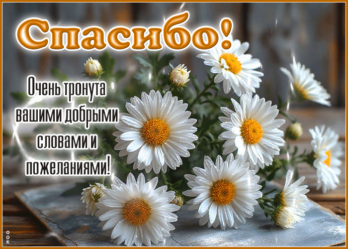 Picture спасибо! очень тронута вашими добрыми словами