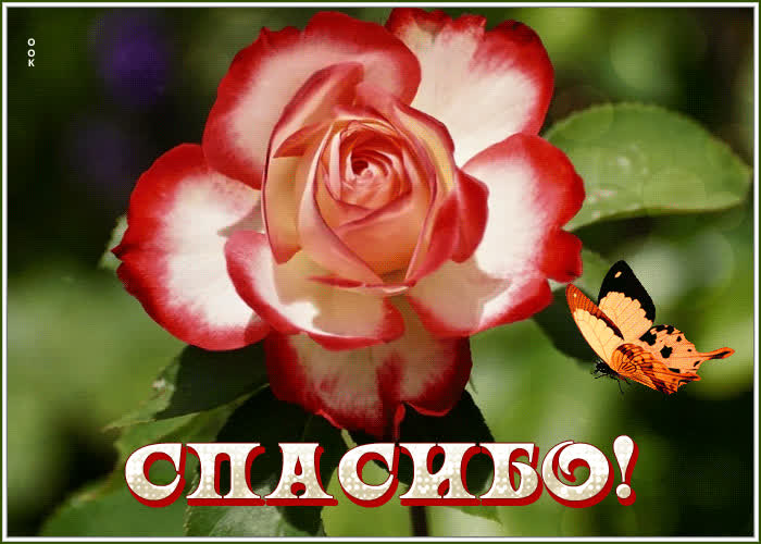 Картинка спасибо от души тебе