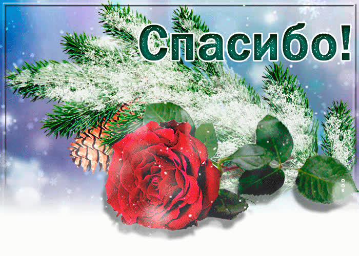 Картинка спасибо пионы тебе