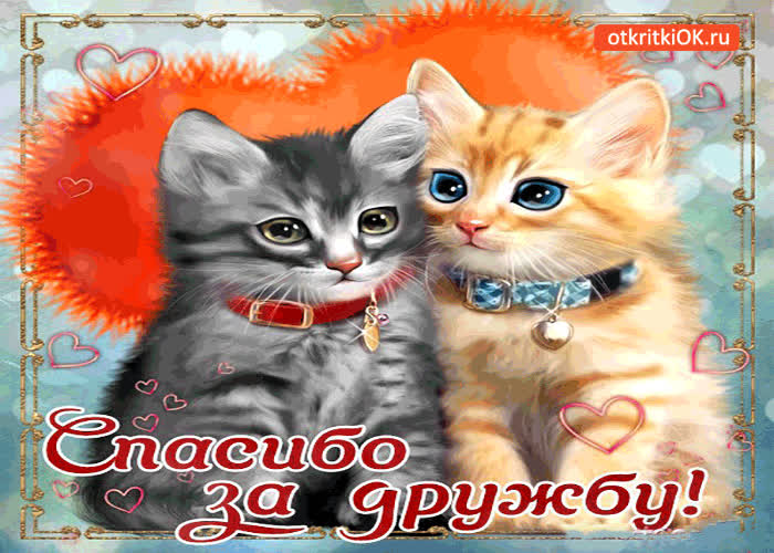 Картинка спасибо тебе огромное за дружбу