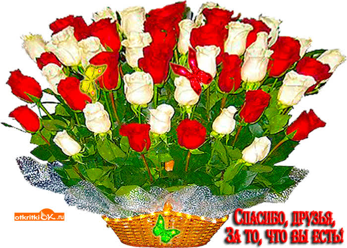 Картинка спасибо вам дорогие друзья