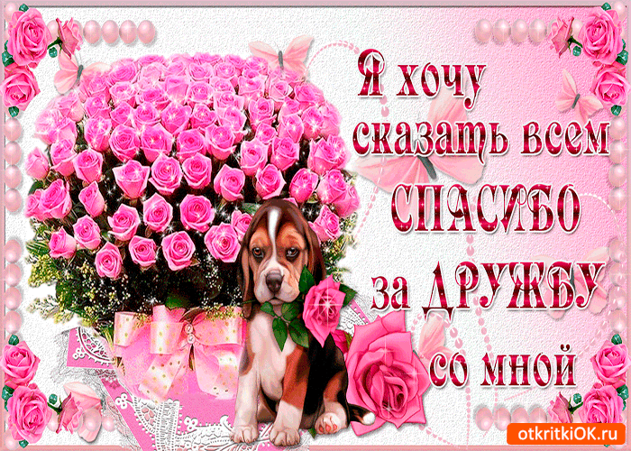 Картинка спасибо за дружбу со мной
