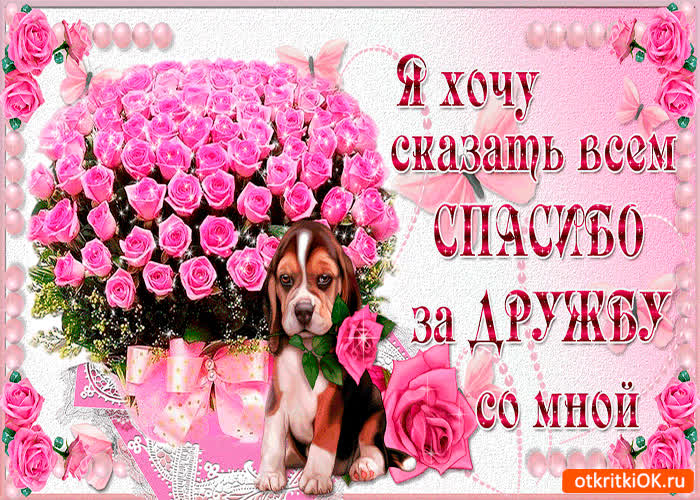 Картинка спасибо за дружбу со мной