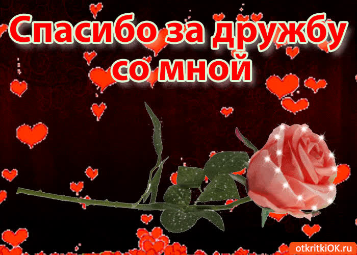 Картинка спасибо за дружбу со мной!