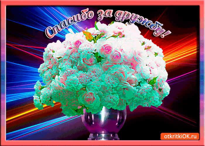 Картинка спасибо за хорошую дружбу