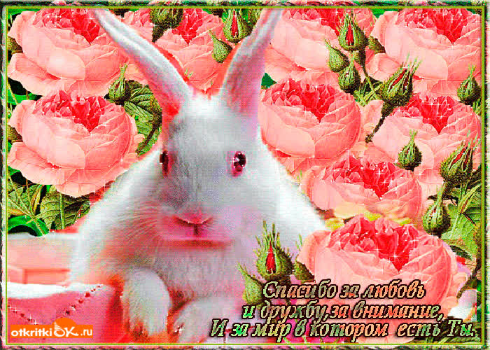 Картинка спасибо за любовь