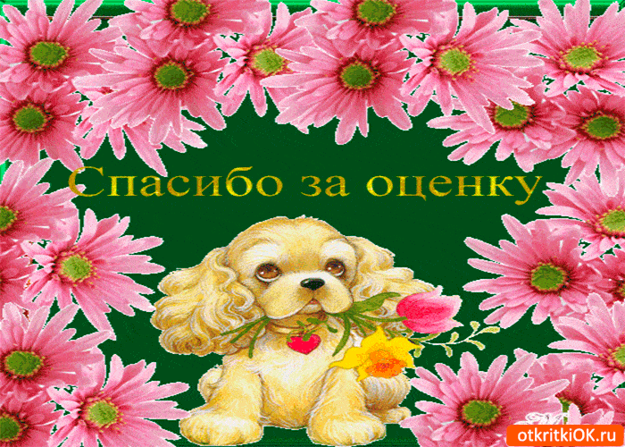 Картинка спасибо за оценку