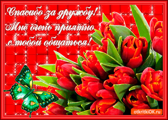 Картинка спасибо за приятную дружбу