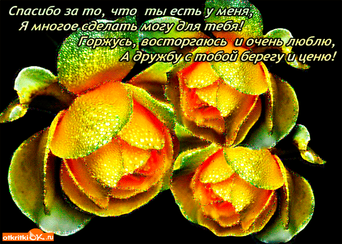 Открытка спасибо за то что ты есть у меня